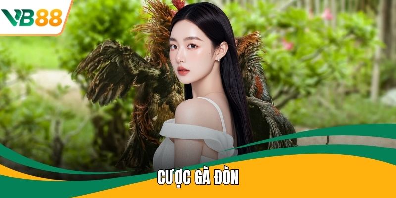 Cược Gà Đòn