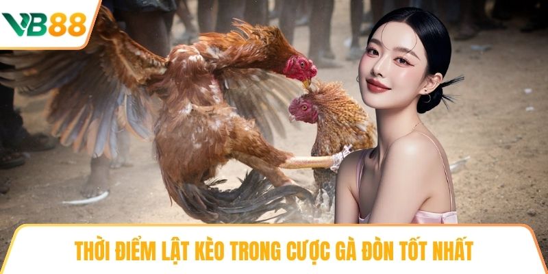 Thời điểm lật kèo trong Cược gà đòn tốt nhất